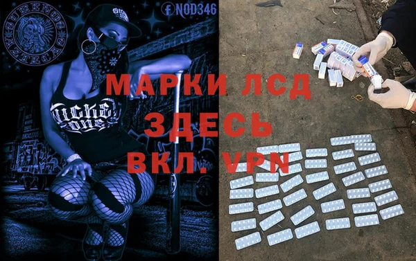 мяу мяу мука Алзамай