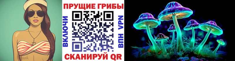где найти   Поронайск  Галлюциногенные грибы Psilocybine cubensis 
